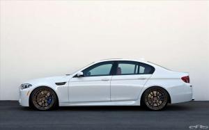2014 BMW M5 by European Auto Source