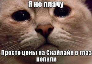 Автомобильные демотиваторы часть 250)