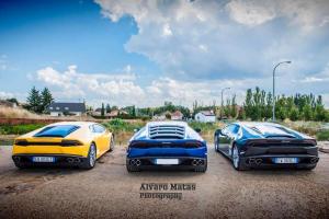 Коррида для Lamborghini