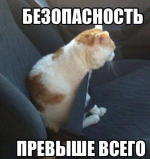 Автомобильные демотиваторы часть 252)