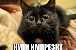 Автомобильные демотиваторы часть 253)