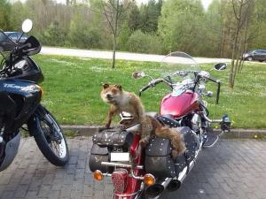 Автомобильная фотоподборка часть 254)
