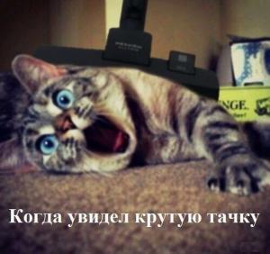 Автомобильные демотиваторы часть 254)