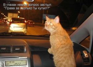 Автомобильные демотиваторы часть 254)