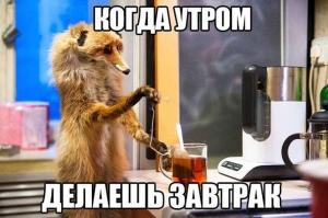 Автомобильные демотиваторы часть 256)