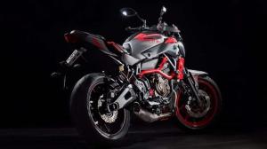 2015 Yamaha MT-07 Moto Cage