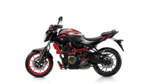 2015 Yamaha MT-07 Moto Cage