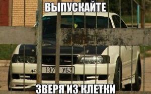 Автомобильные демотиваторы часть 261)