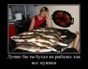 Автомобильные демотиваторы часть 262)