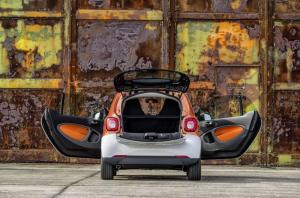 2014 Smart ForTwo