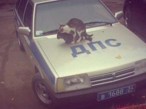 Автомобильная фотоподборка часть 267)
