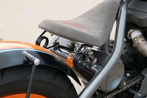 2001 Harley-Davidson Sportster by DP Customs
