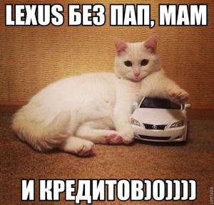 Автомобильные демотиваторы часть 271)