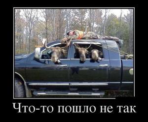 Автомобильные демотиваторы часть 273)