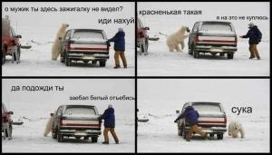 Автомобильные демотиваторы часть 274)