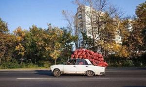 Автомобильная фотоподборка часть 275)