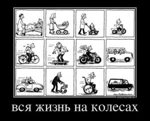 Автомобильные демотиваторы часть 275)