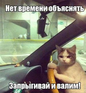Автомобильные демотиваторы часть 277)
