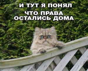 Автомобильные демотиваторы часть 277)