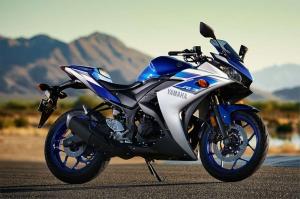 2015 Yamaha YZF-R3