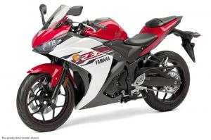 2015 Yamaha YZF-R3