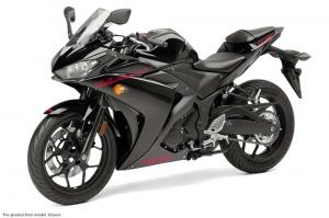 2015 Yamaha YZF-R3