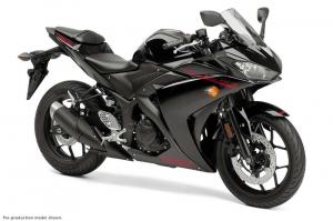 2015 Yamaha YZF-R3
