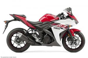 2015 Yamaha YZF-R3