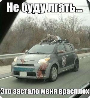 Автомобильные демотиваторы часть 278)