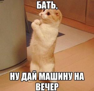 Автомобильные демотиваторы (часть 281)