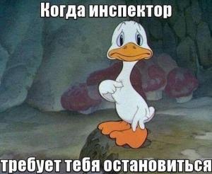 Автомобильные демотиваторы часть 281)