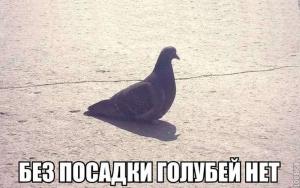 Автомобильные демотиваторы часть 281)