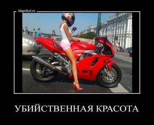 Автомобильные демотиваторы часть 282)
