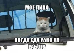 Автомобильные демотиваторы часть 282)