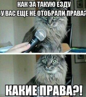 Автомобильные демотиваторы часть 282)