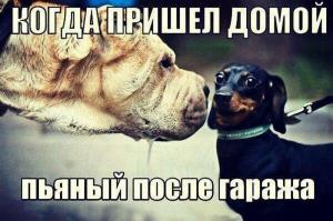 Автомобильные демотиваторы часть 284)