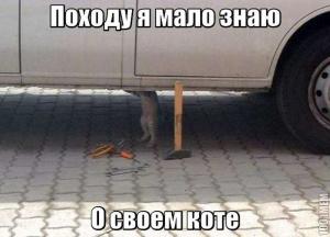 Автомобильные демотиваторы часть 284)