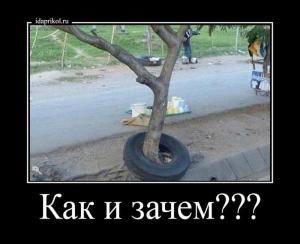 Автомобильные демотиваторы часть 285)