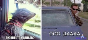 Автомобильные демотиваторы часть 287)
