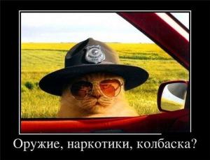 Автомобильные демотиваторы часть 288)