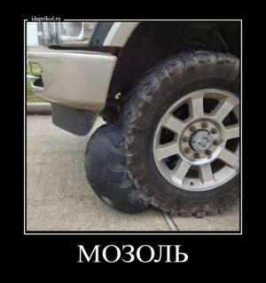 Автомобильные демотиваторы часть 288)