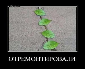 Автомобильные демотиваторы часть 288)