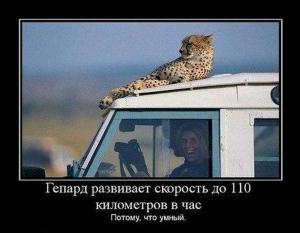 Автомобильные демотиваторы часть 288)