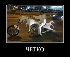 Автомобильные демотиваторы часть 290)