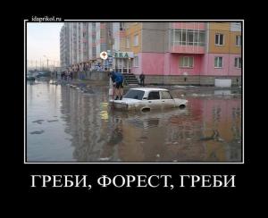 Автомобильные демотиваторы часть 291)