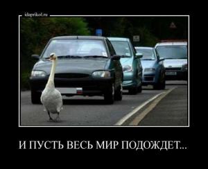 Автомобильные демотиваторы часть 292)