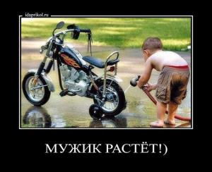 Автомобильные демотиваторы часть 293)