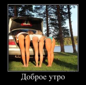 Автомобильные демотиваторы часть 296)