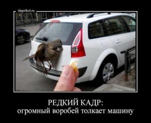 Автомобильные демотиваторы часть 297)