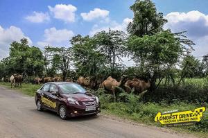 Honda Amaze войдет в Книгу рекордов Гиннесса